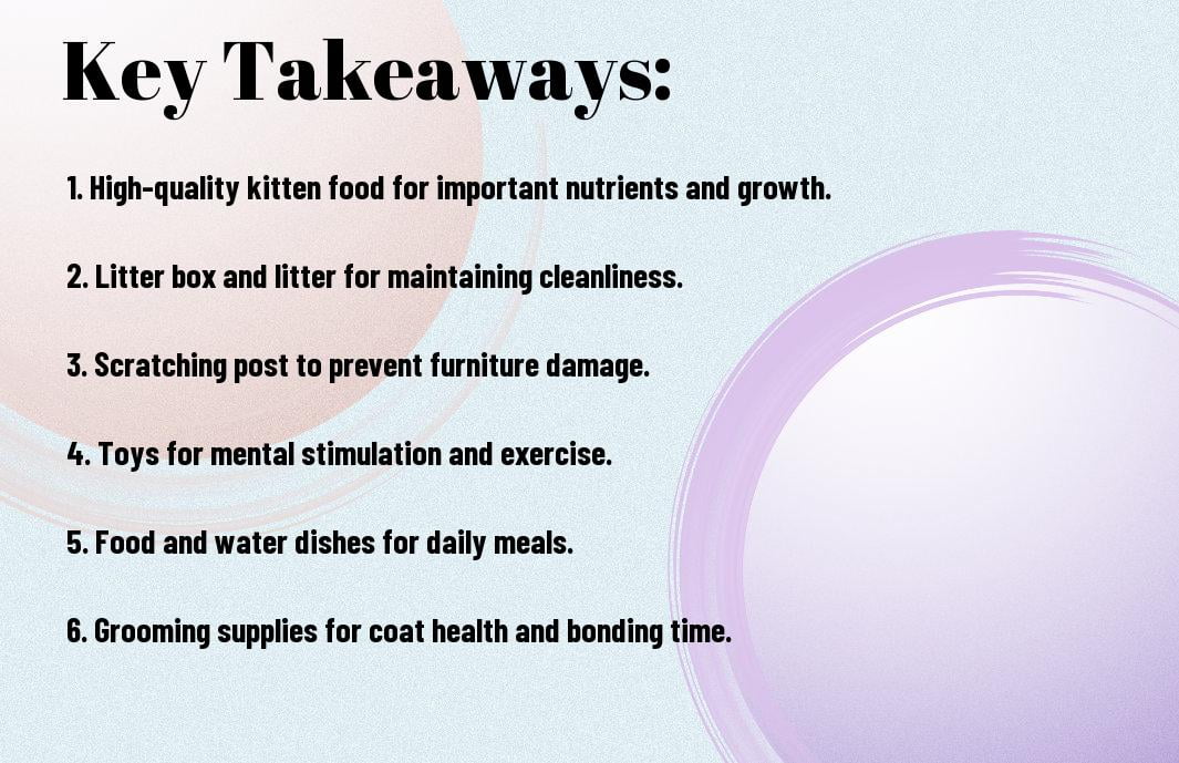 10 Essential Supplies Every Kitten Owner Needs