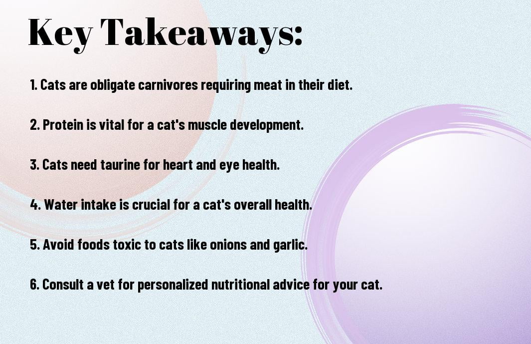 Understanding Your Cat's Nutritional Needs - A Complete Breakdown