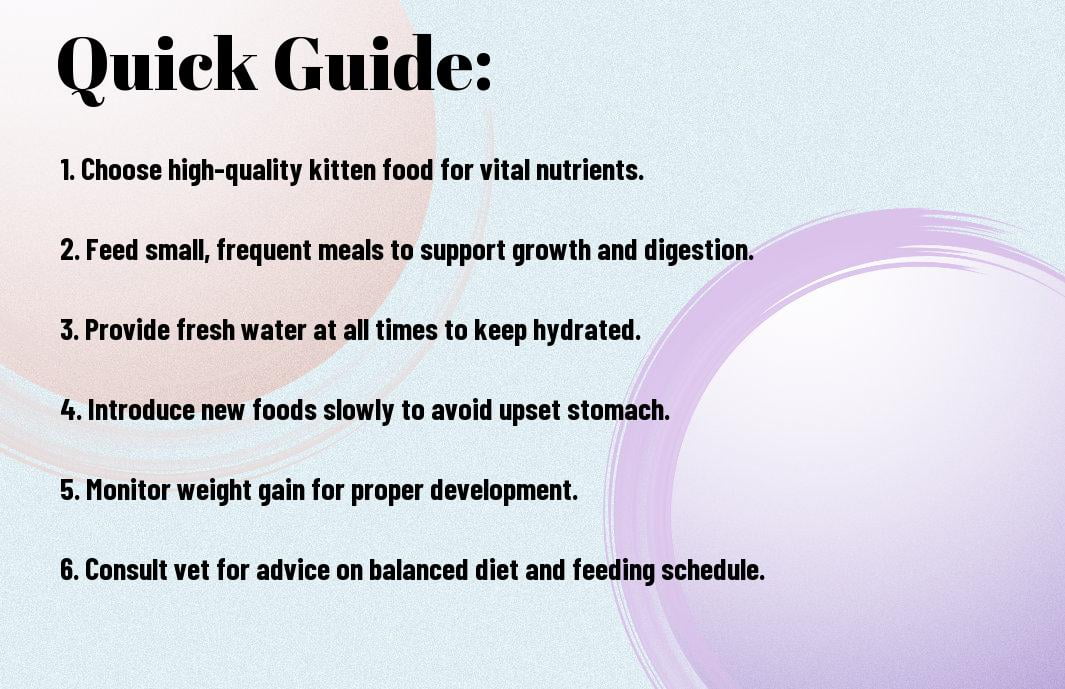 Feeding Your Kitten - A Complete Nutrition Guide