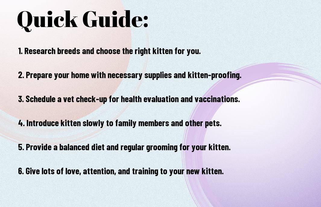 The Ultimate Guide To Adopting A Kitten