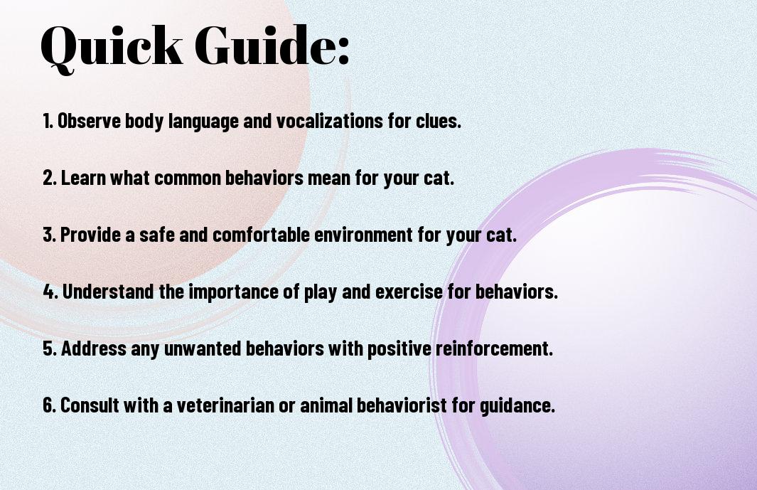 Understanding Cat Behavior