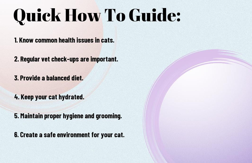 Understanding Common Cat Health Issues And How To Prevent Them