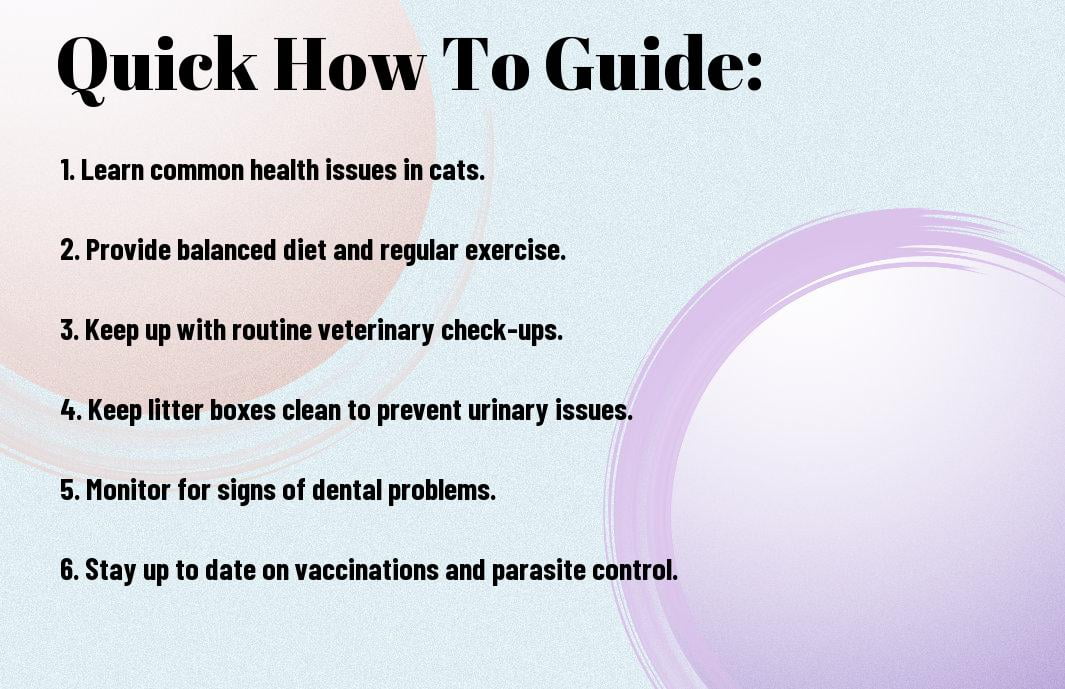 Understanding Common Health Issues In Cats And How To Prevent Them