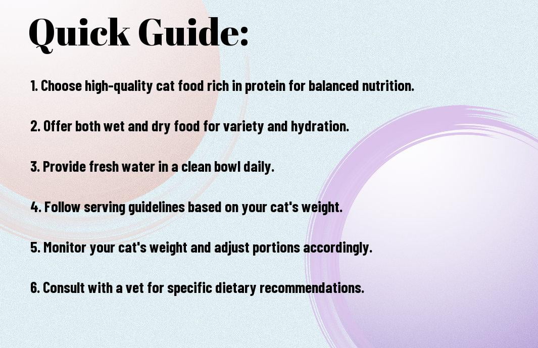 Feeding Your Feline Friend - A Comprehensive Guide To Cat Nutrition