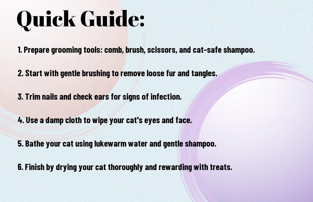 The Ultimate Guide To Grooming Your Cat At Home