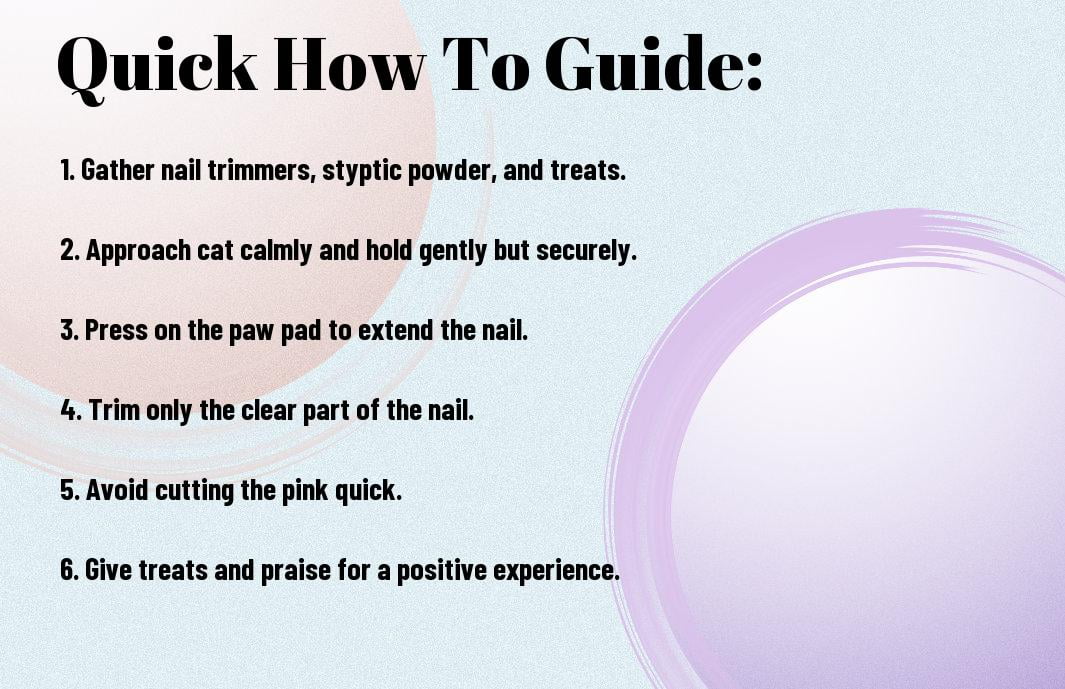 How To Safely Trim Your Cat's Nails At Home