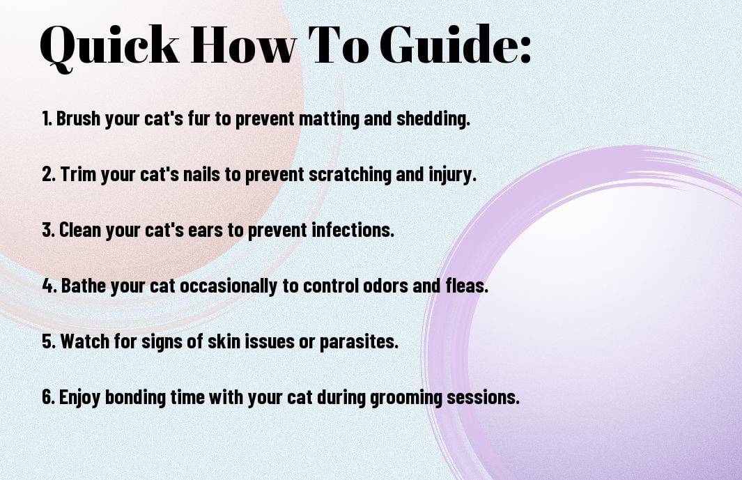 The Benefits Of Cat Grooming And How To Do It Correctly