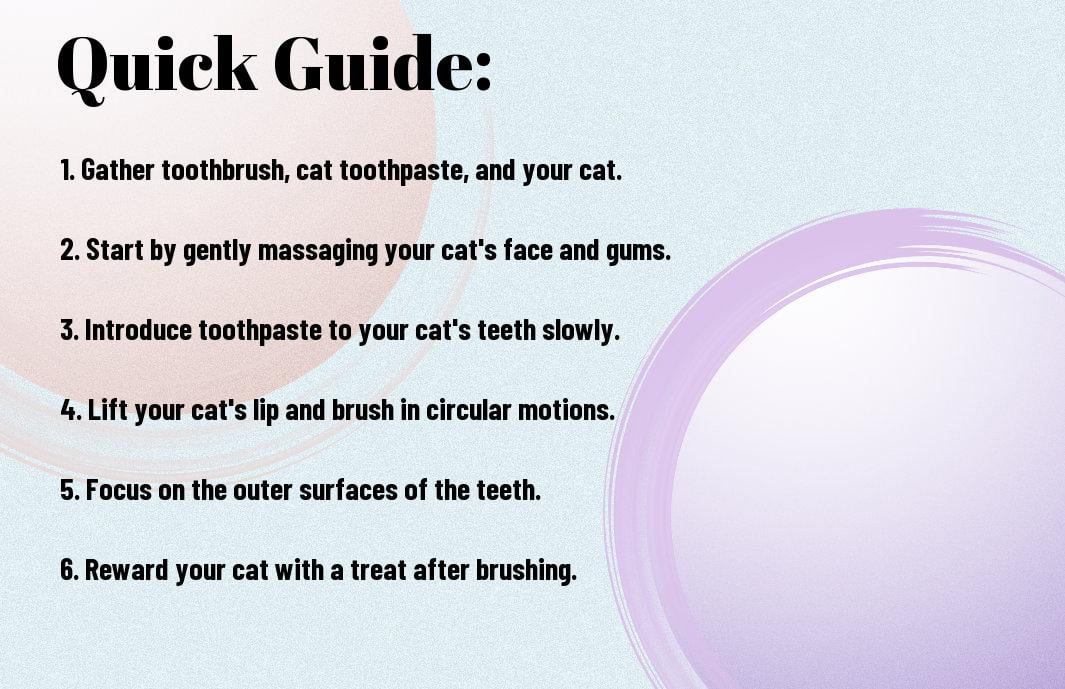 A Step-by-Step Guide To Brushing Your Cat's Teeth