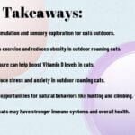 The Benefits Of Letting Your Cat Roam Outdoors