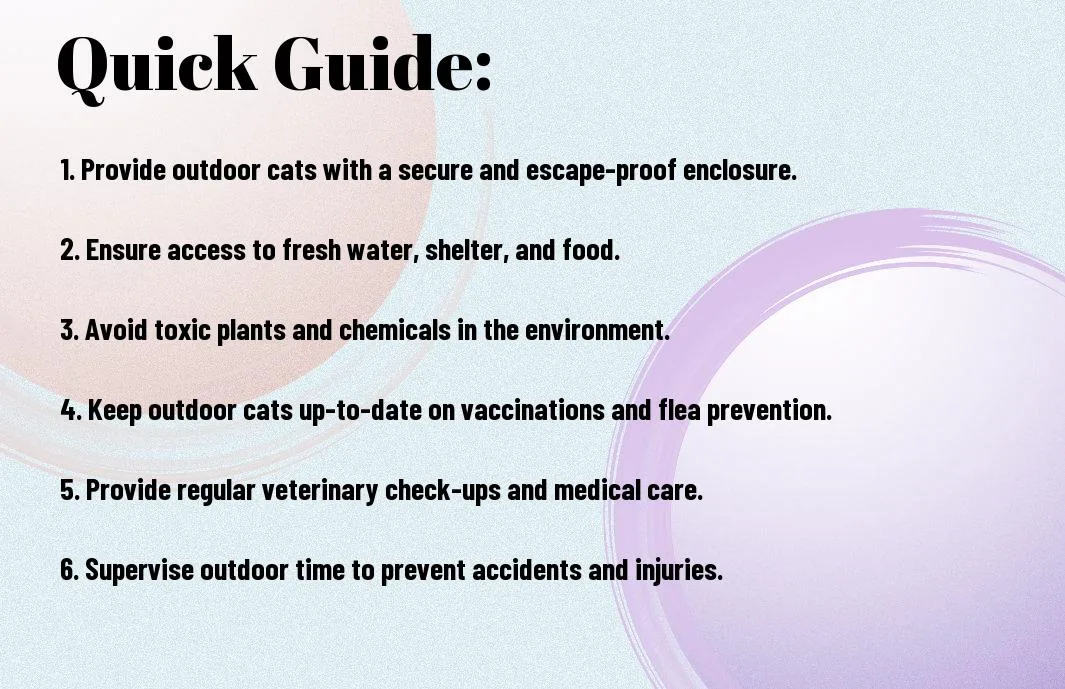 The Ultimate Guide To Keeping Your Outdoor Cats Safe