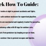 Common Risks For Outdoor Cats And How To Avoid Them