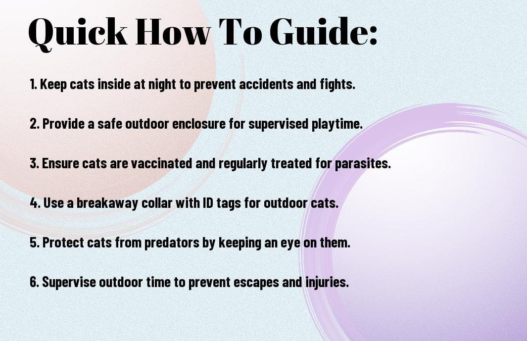 Common Risks For Outdoor Cats And How To Avoid Them