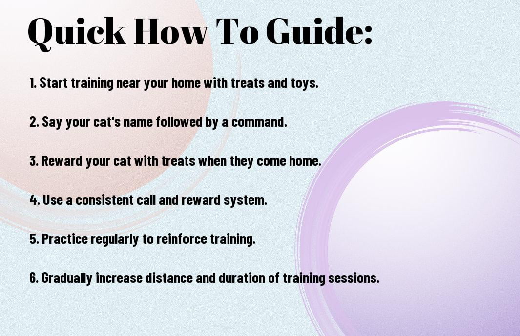 How To Train Your Outdoor Cat To Come Home