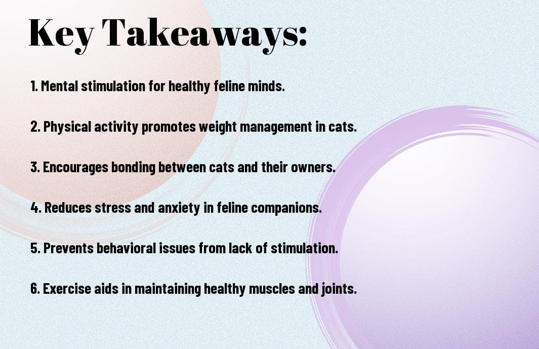 The Benefits Of Exercise And Play For Feline Fur Babies