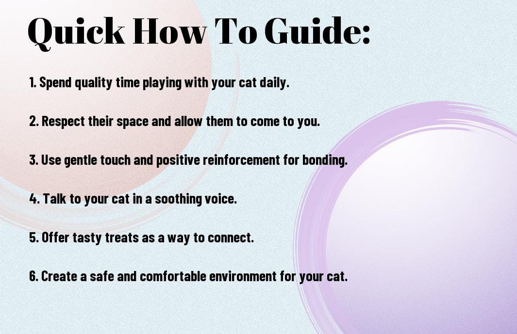 How To Bond With Your Feline Friend - Tips For Cat Lovers