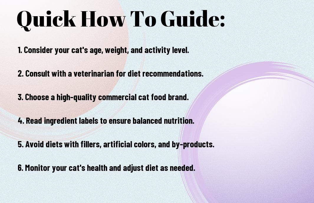 How To Choose The Best Diet For Your Feline Fur Babies