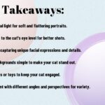 Tips For Taking Stunning Close-up Cat Portraits
