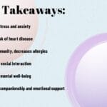 The Top 5 Health Benefits Of Owning A Cat The Top 5 Health Benefits Of Owning A Cat