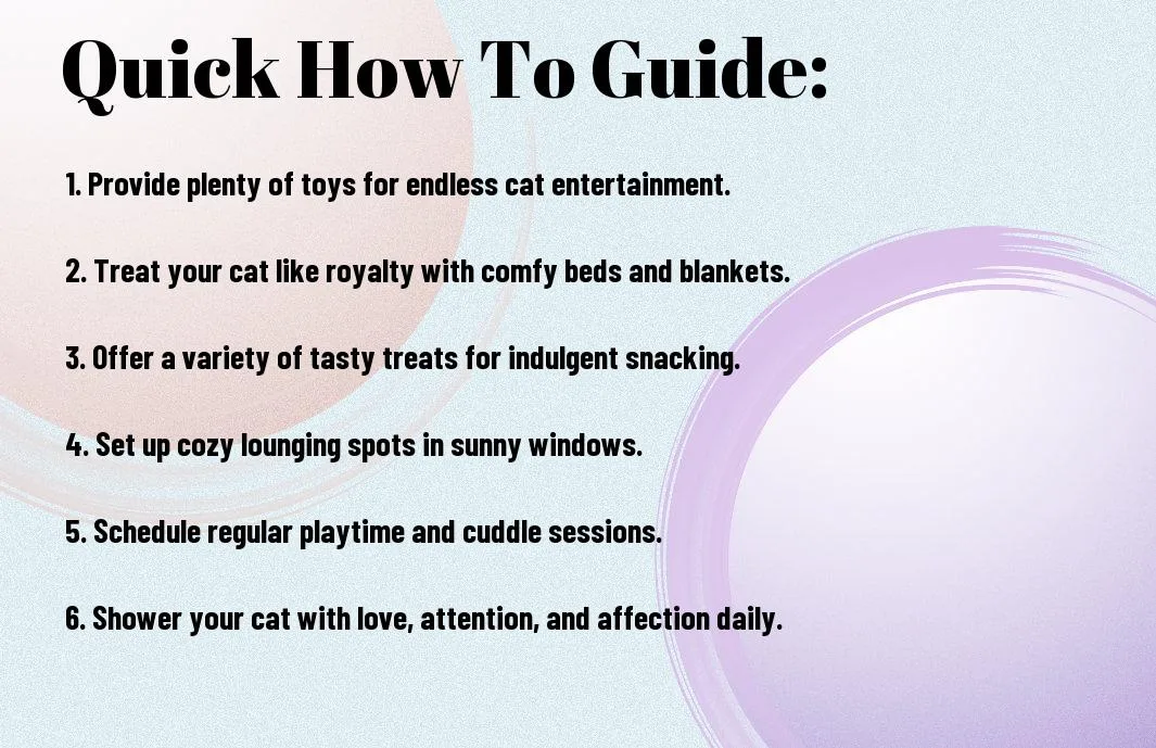 How To Spoil Your Cat Rotten - Tips For Cat Lovers