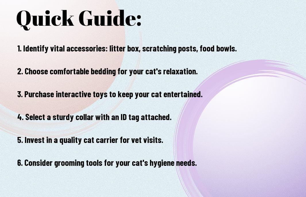 Cat Accessories - A Complete Shopping Guide For New Cat Parents