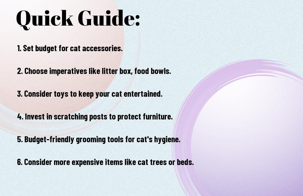 The Ultimate Guide To Cat Accessories For Every Budget