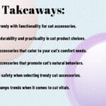Trendy Vs. Practical – Finding The Perfect Cat Accessories
