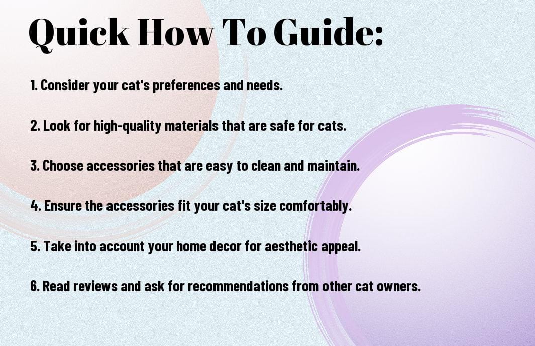 How To Choose The Best Cat Accessories For Your Feline