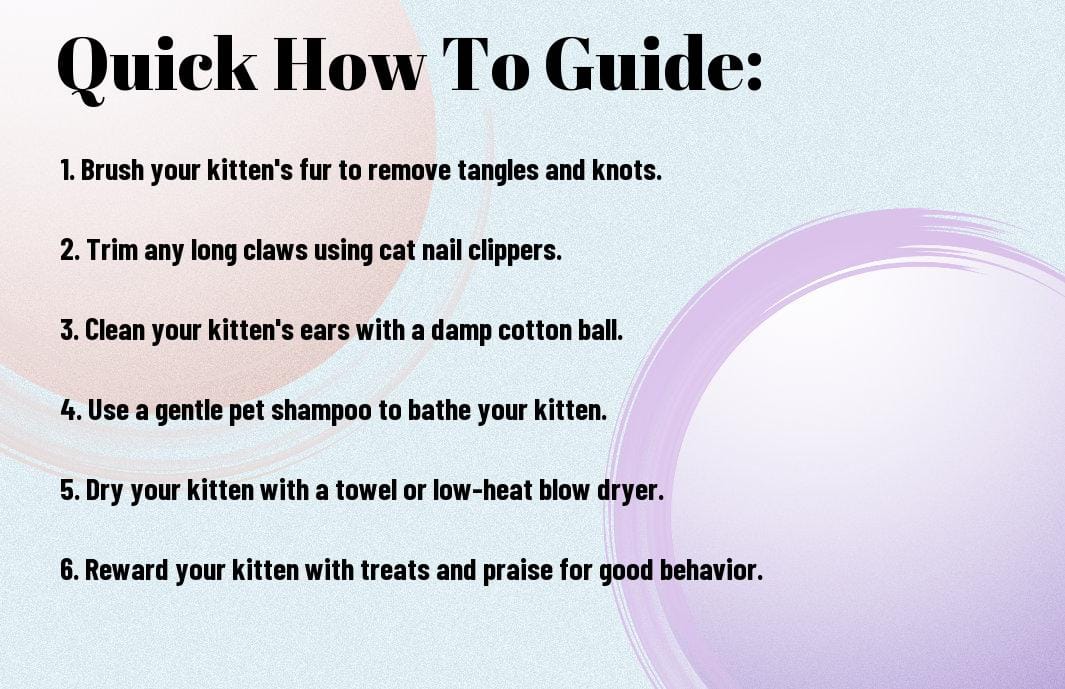 Step-by-step Tutorial - How To Groom Your Kitten Like A Pro