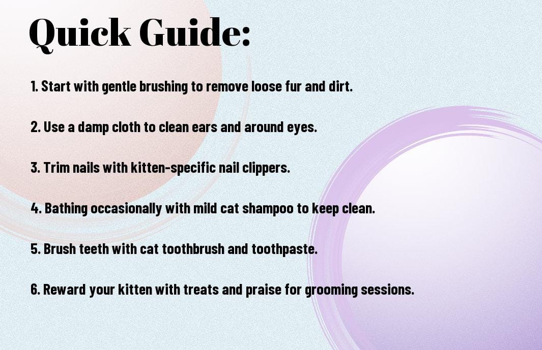 The Ultimate Guide To Grooming Your Kitten At Home