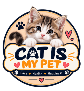 CAT IS MY PET